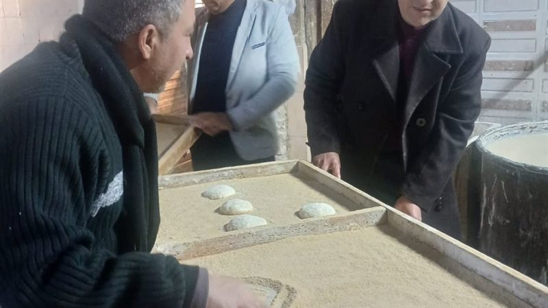 صورة واقعيه