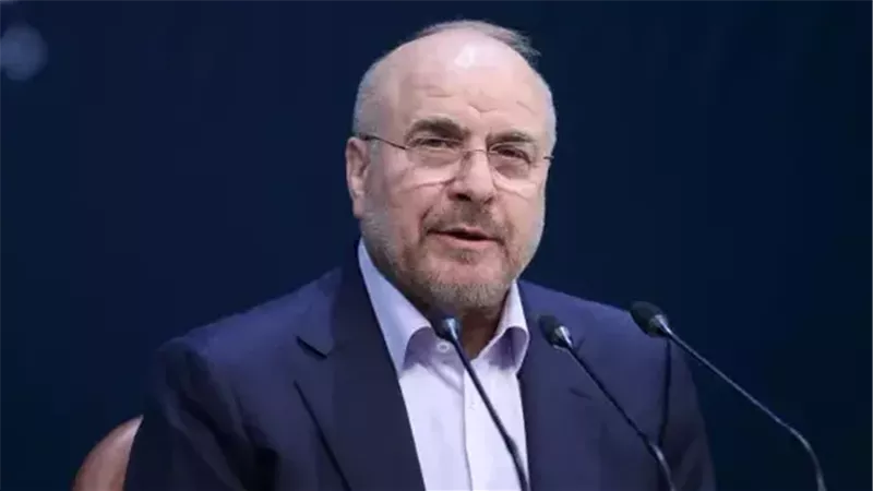 رئيس مجلس الشورى