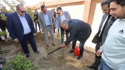 محافظ كفرالشيخ يغرس أول شجرة مثمرة بمدرسة الدمرداش