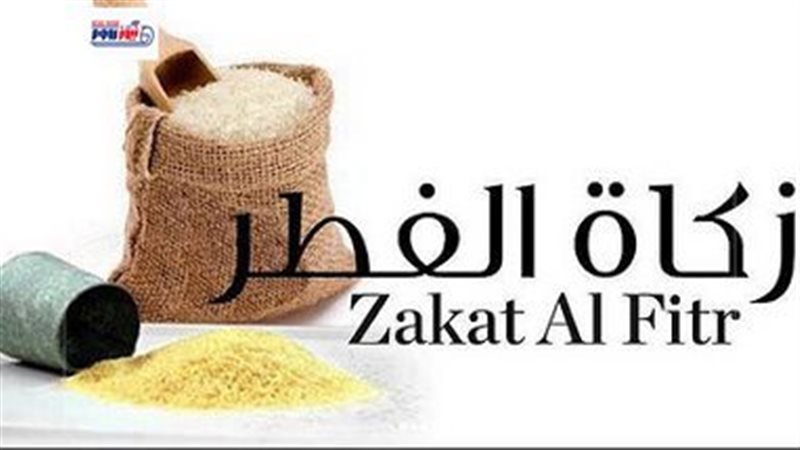 زكاة الفطر