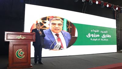 محافظ الدقهلية: لا تخشوا أي قوة خارجية.. لدينا جيش 