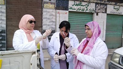 محافظ الغربية يتابع حملات الطب البيطري لتحصين الكلاب الحرة  