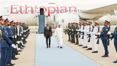 عبد الخالق عبد الله: زيارة آبي أحمد للإمارات موقف لن ننساه في وقت الشدة