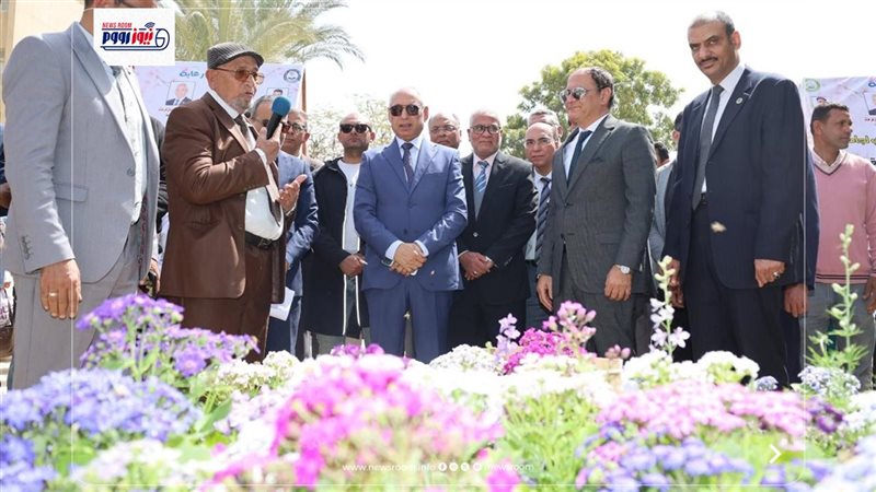 جامعة المنيا