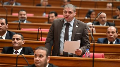 برلماني: توجيه الرئيس بدراسة دولة الفنون خطوة استراتيجية لبناء القوة الناعمة