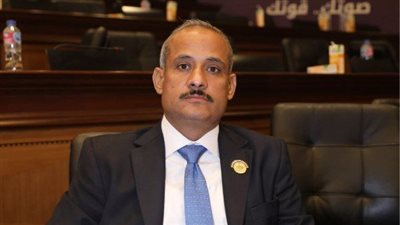 عضو بالشيوخ: كلمة الرئيس السيسي في حفل إفطار الأسرة المصرية حملت رسائل هامة