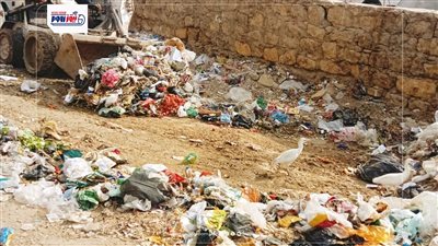 حملات مكثفة للنظافة ورفع الإشغالات وصيانة الإنارة وتمهيد الطرق بالفيوم وسنورس
