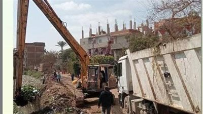 استجابةً لـ نيوز رووم.. تطهير ترعة ام موسي بالمنوفية من المخلفات والحيوانات