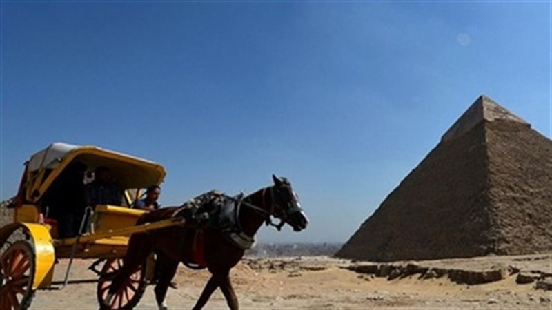 كارتة - أرشيفية