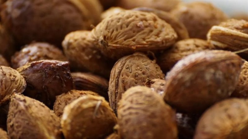 فوائد تناول اللوز