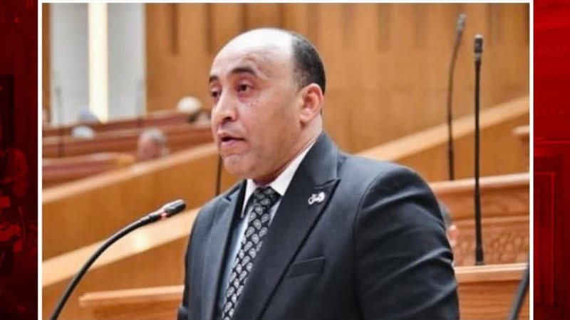 حسام حسن