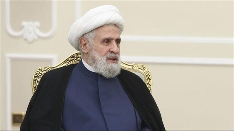 نعيم قاسم