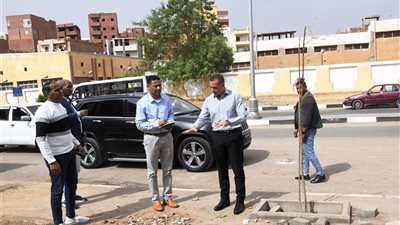 محافظ اسوان يوجه بتوزيع بعض أعمال السمبوزيوم ضمن منظومة التطوير والتجميل 