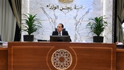 مدبولي: فاتورة استيراد الغاز تزيد مليار دولار والسولار يقترب من ألف دولار للطن