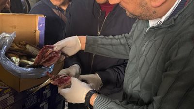 حملات العيد بالغربية.. ضبط 5.5 طن 