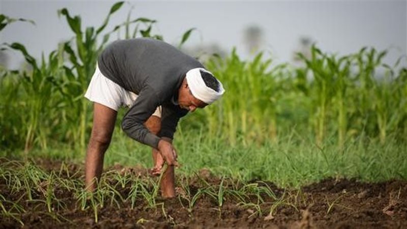 الأسمدة