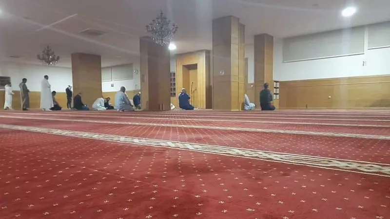 صورة موضوعية