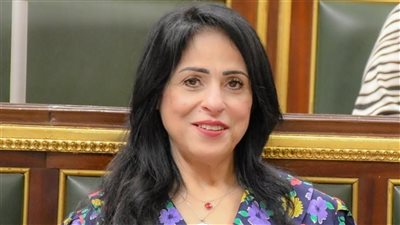 ميرال الهريدي: كلمة السيسي تعكس رؤية قوية ومبادرة مصرية لتقوية المحور العربي