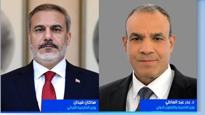وزير الخارجية المصري