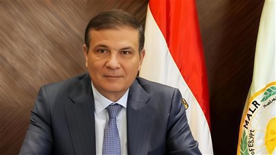 2500 جنيه للأردب.. الزراعة: انطلاق موسم حصاد القمح وصرف المستحقات خلال 48 ساعة