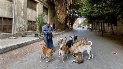عم حمدي الكلاباتي.. قصة إنسان يختار الرحمة في شوارع المنيرة بالقاهرة