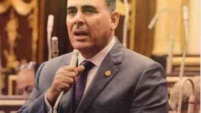 نائب يرفض تعديلات التأمينات والمعاشات: لا تحقق العدالة لكبار السن