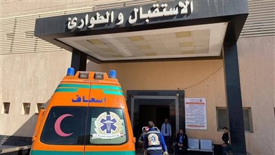 تسمم 6 أشخاص بعد تناول وجبة أرز منزلي بقرية برخيل في سوهاج