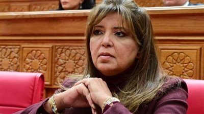 نائبة: جولة السيسي الخليجية تعكس دور مصر القيادي وتؤكد وحدة الصف العربي