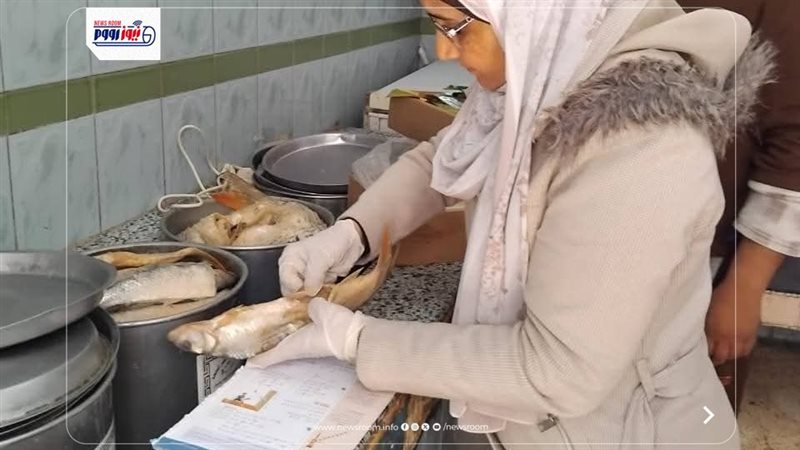 حملات تفتيشية بالمنيا