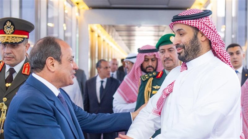 الرئيس السيسي وولي