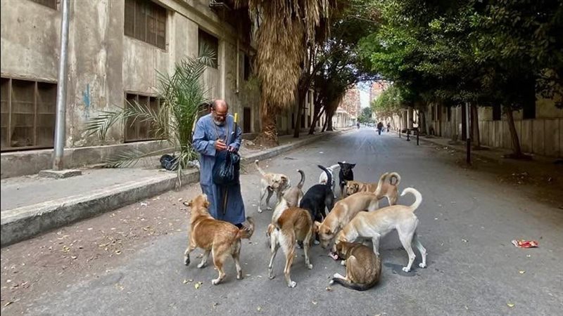 عم حمدي 