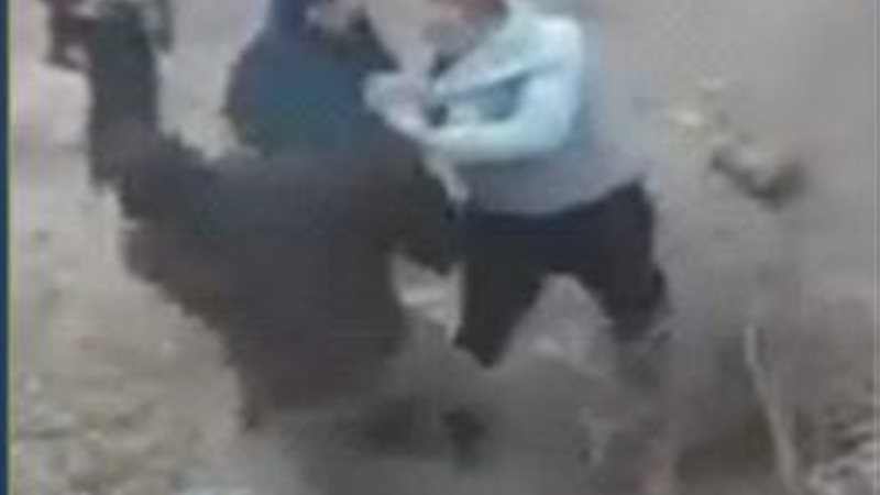 المتهمين 