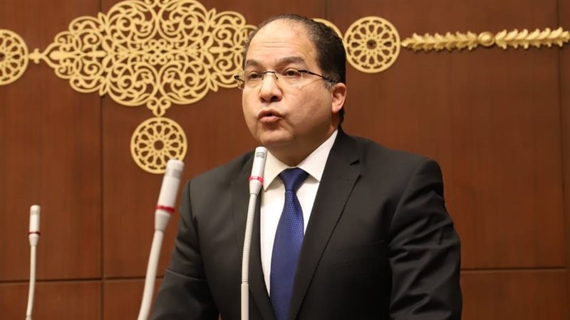 النائب عادل اللمعي