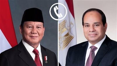 السيسي لنظيره الإندونيسي: مصر تدعم أمن الدول العربية وترفض انتهاك سيادتها