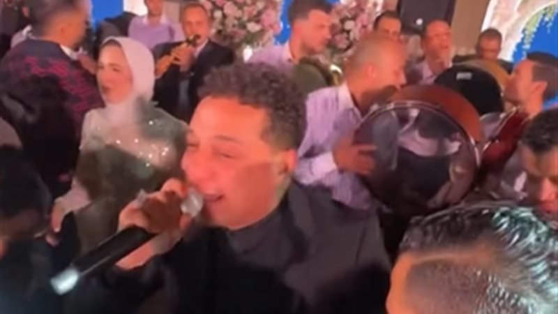 رضا البحراوي