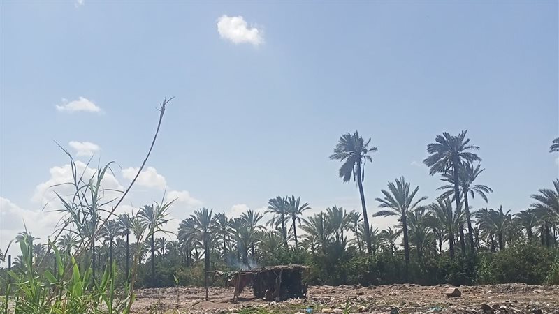 حالة الطقس في البحيرة