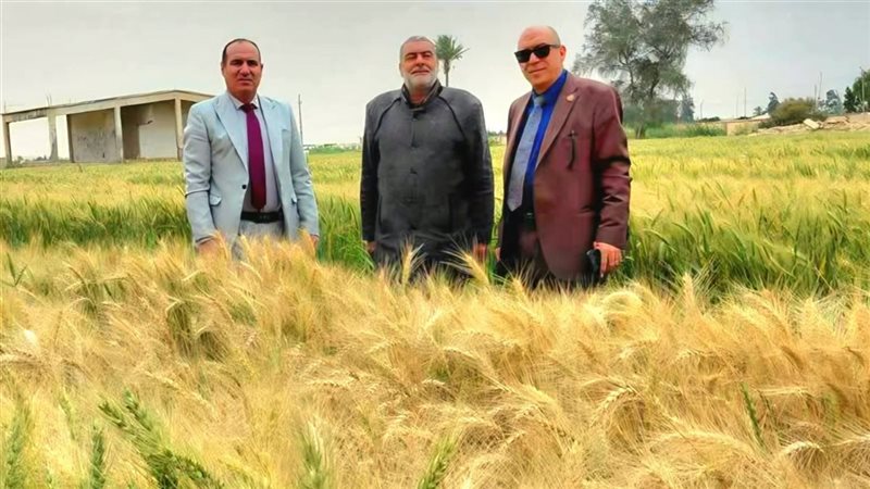 جولات متابعة المحاصيل