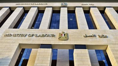 قرار رسمي: إلزام كل منشأة بها 100 عاملة فأكثر بإنشاء دار حضانة
