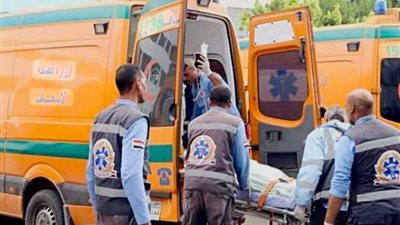 جريمة أسرية تهز قرية دمنهور الوحش بزفتى مقتل مسن بعد تلقيه 8 طعنات خلال مشاجرة