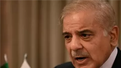 رئيس وزراء باكستان: نرحب بالجهود المبذولة لإنهاء الحرب في الشرق الأوسط