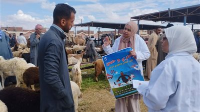 مديرية الطب البيطري تعلن بدأ الحملة القومية لتحصين الثروة الحيوانية