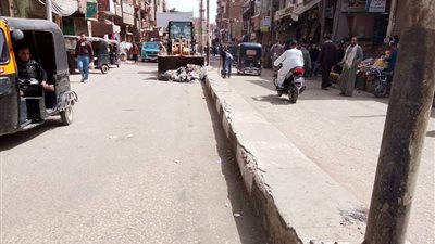 محافظ أسيوط يشدد على تكثيف حملات النظافة بمركز صدفا ورفع 141 طن مخلفات