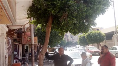 محافظة قنا تطلق مشروع 