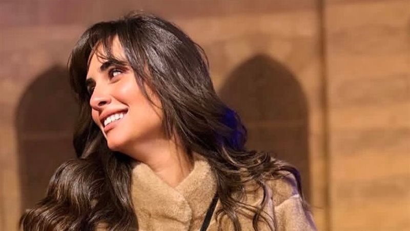 نانسي نور زوجة تامر