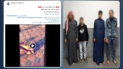 كشف ملابسات فيديو تعذيب كلب حتى النفوق في جنوب سيناء.. وضبط المتهمين