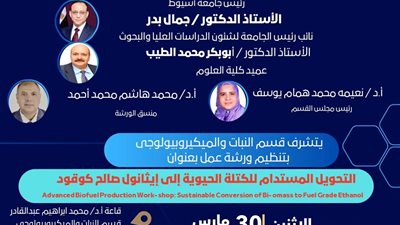 جامعة أسيوط تنظم ورشة عمل حول التحويل المستدام للكتلة الحيوية إلى إيثانول صالح