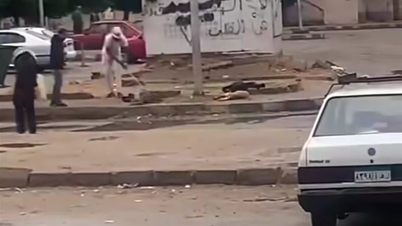 نفوق الكلاب