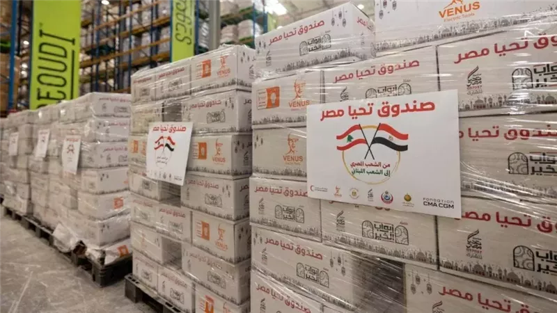 المساعدات المصرية