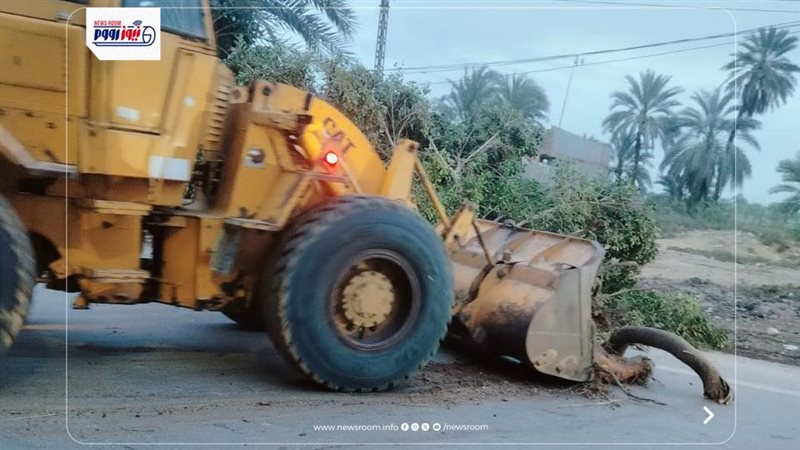 إزالة آثار الشجرة