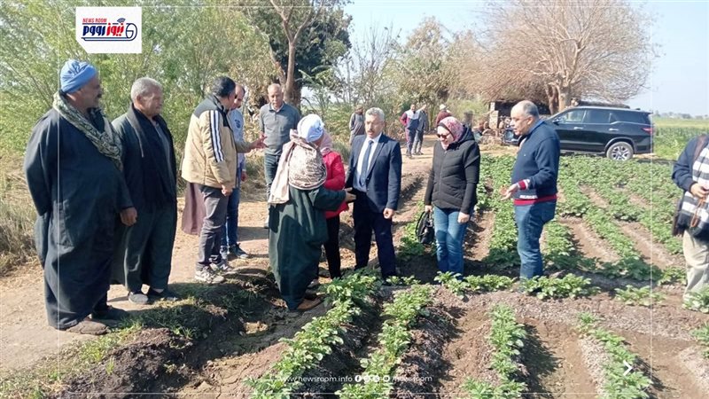 زراعة المنيا 